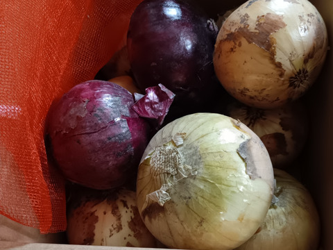 【赤玉ねぎ3玉入り】料理の彩りのために！淡路島の玉ねぎ！3ｋｇ【ひょうご安心ブランド認証】お試し用に