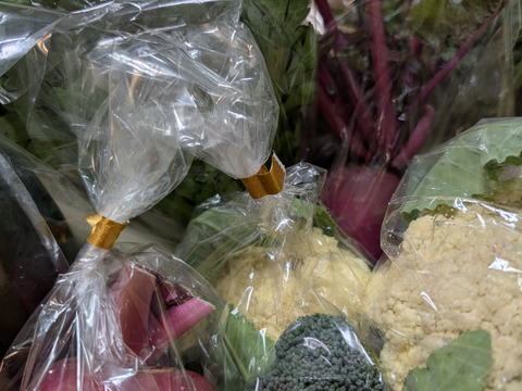 【定期便】旬の野菜セット(春の葉物野菜・イタリア野菜)箱込み1.6kg