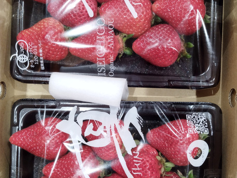 オーガニックあまおう　200gパック　
※2パックまで送料同じ(ヤマト60サイズ)※
