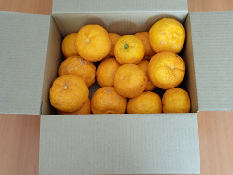 有機JAS認証　柚子（ゆず）2000g