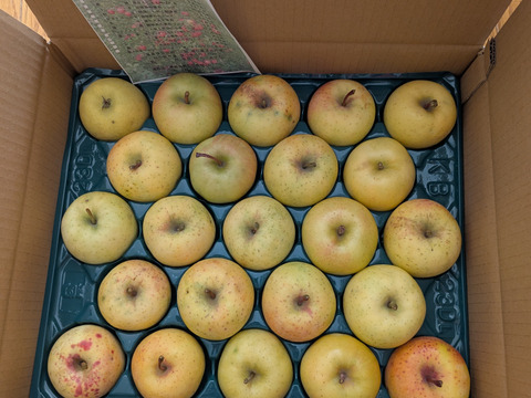 ＜限定出品＞小玉につき格安　星の金貨　約4.5キロパック