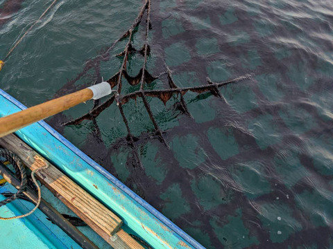 【訳あり】バク食系園児ママへ：走水海苔を普段使いに（送料一律：ポストへお届け）