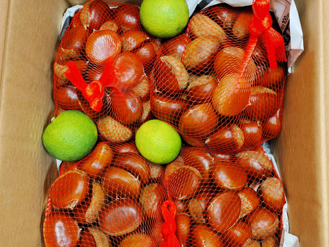 大分県産　栗4kg