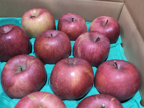 発送中🍎りんごグランプリ2025最高金賞1位🎊 サンふじ 5キロ箱 家庭用&訳あり品 ID10622長野県 信州 安曇野 リンゴ 幻 幻のリンゴ 予約 希少 旬 甘い