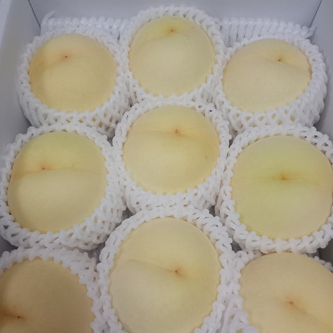訳あり桃】白皇（2kg箱）：岡山県産の白桃｜食べチョク｜産地直送(産直