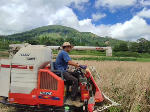 自然栽培 古代小麦『スペルト小麦』精白粉 （800g）