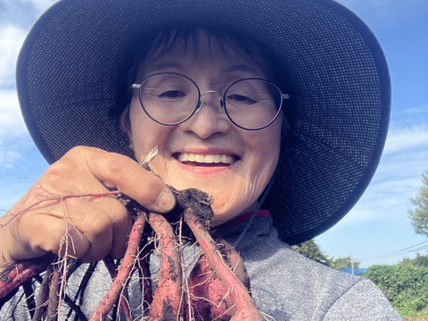 しっとり甘～い！大山育ち熟成紅はるか10キロ