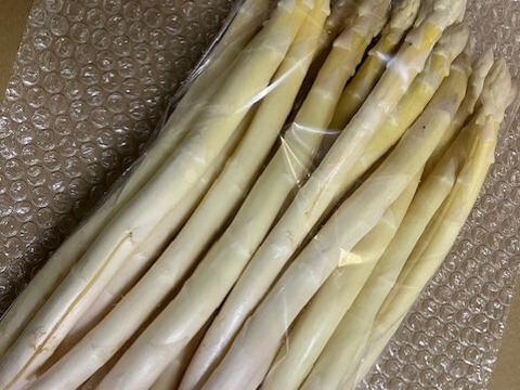 訳アリ＆限定！！　～規格外～　静岡育ち　ホワイトアスパラガス　L～３Lサイズ混合＆規格外品　1kg