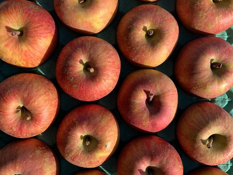 ハネ（規格外品）🍎葉っぱの恵み🍎『葉取らず蜜どけ完熟サンふじ』５Kg　１２個から２０個入り