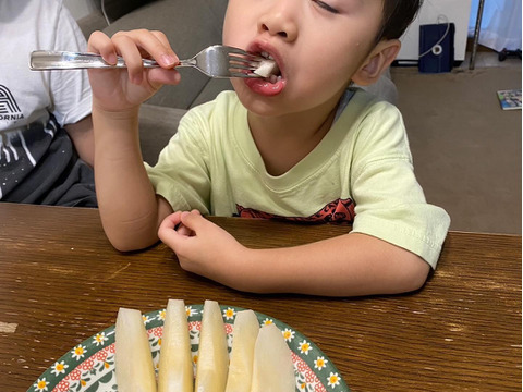 次世代エース　秋甘泉　3キロ