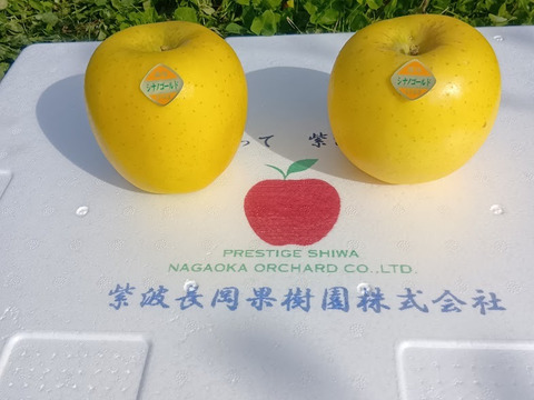 【岩手・紫波町】特別栽培サンふじ・こうこうなどの食べ頃りんご詰め合わせ（無印・5kg）