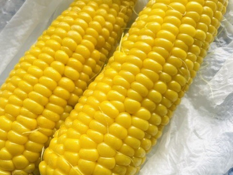 農薬化学肥料不使用※朝採れ！ミルキーシュガー5Kg