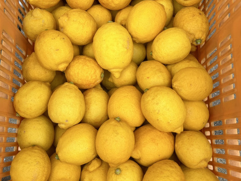 【広島県産】レモン果汁 720ml (x4本)【無添加・果汁100%】