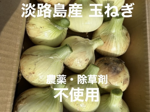 【小玉】農薬、除草剤不使用！淡路島玉ねぎ3kg 【生で食べてみて！】加熱だけじゃもったいない。サラダでも美味しい淡路島の完熟玉ねぎ。