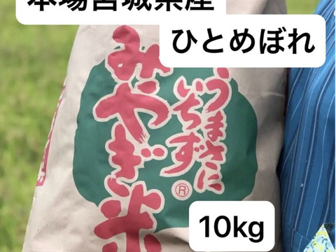 【7年産】本場宮城県産ひとめぼれ　精米15Kg 農薬を控えて栽培
