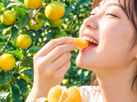 極早生なのに濃い味！日南極早生みかん5ｋｇ　秀品　SからLサイズ約40個（上蒲刈産）