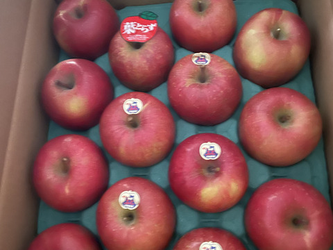 発送開始！完熟葉とらずサンふじ🍎約10㎏