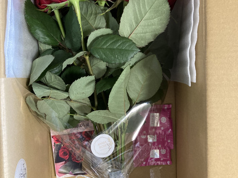 【赤パープル系15本】2月限定☆厳選バラ☆贈り物にもおすすめ（ご自宅用簡易包装/50cm）