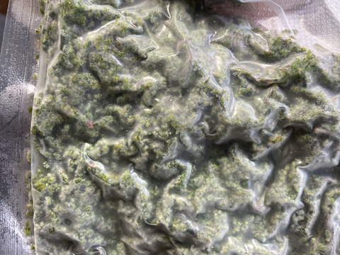 新鮮 花山椒 京都産 100g 天然 花山椒 京都産 100グラム プロトン冷凍：京都府産の花山椒