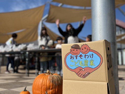 愛され食され40年『雪夏稚くんじゃがいも10kg』熟成コナユタカver.