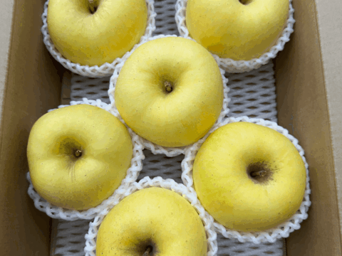 限定販売希少りんご（はるか）