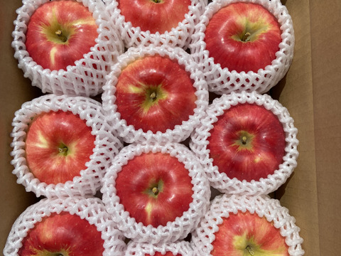 近日中発送！希少りんご❗️シャキシャキ！さんさ 約２kg 信州りんご