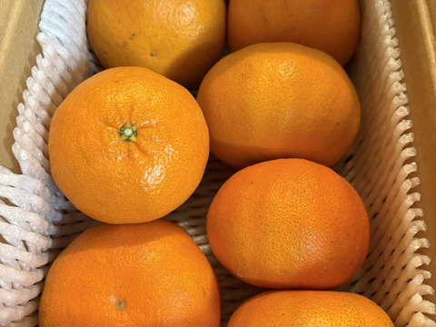 「甘平」2kｇ　家庭用！！
サクサク食感♪ 順次発送中〜