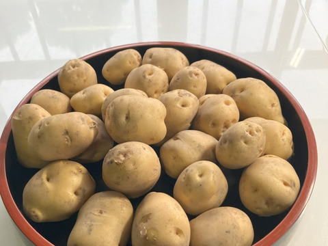 ほくほく！あまい！ジャガイモ「キタアカリ」4㎏