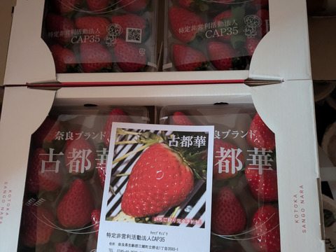奈良県ブランド高級いちご(古都華)
280g✖️4パック