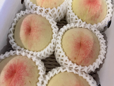 【クール便】(訳あり品)岡山白桃　1.4kg