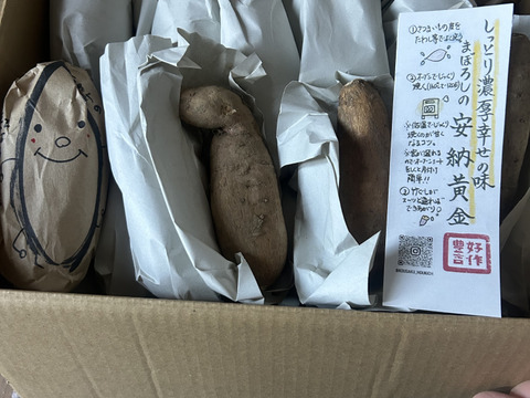 《予約販売》希少な幻の安納芋🍠濃厚な甘味で蜜溢れ出る焼き芋が簡単に🍯プチサイズ「安納黄金」（4㎏）ひとつひとつ紙に包んで丁寧な包装で贈り物にも喜ばれます🎁熨斗OK【冬ギフト】お歳暮にも