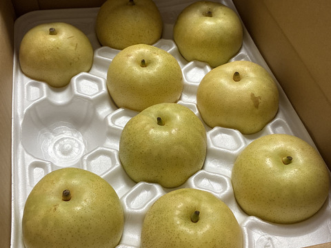 【鳥取県産】なつひめ　梨　約5kg