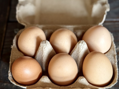 １日数量限定 平飼い『盈月の卵』世界最大級の鶏ブラマ６個入り