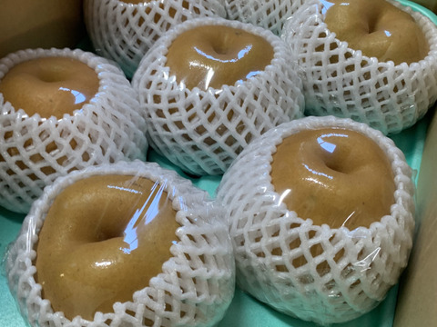 【冬ギフト】秋峰梨5キロ(7個)
春先まで保管可、お歳暮、贈答用にも👌