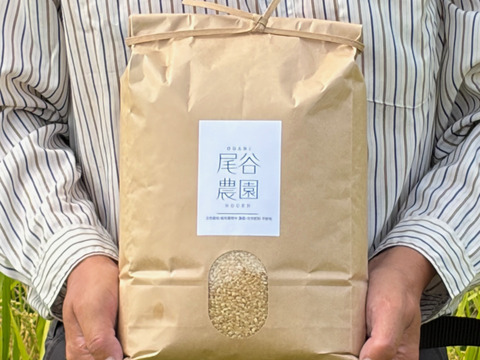 【9周年感謝祭】【令和8年産】自然栽培コシヒカリ・玄米（10kg）【栽培期間中・化学肥料・農薬・除草剤不使用】【富山県】【魚津産】