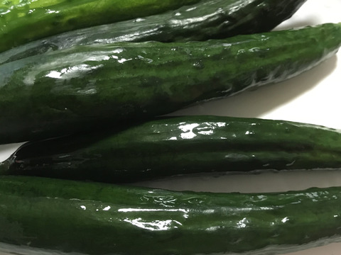 感動野菜‼️お買い徳‼️きゅうり25本‼️