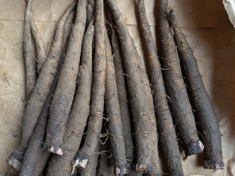 博多の夏野菜セット　7品