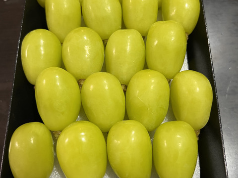 厳選粒売りシャインマスカット 約1kg