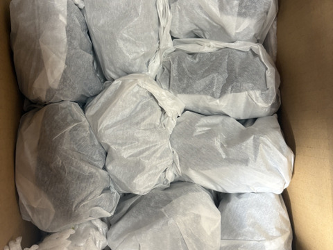 🉐小粒、ナガノパープル約1.0kg(2〜4房)