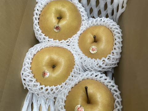 【贈答用】【4玉入】梨の王様「新高梨」食べ応え抜群！