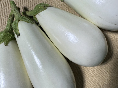 長野県軽井沢町産高原野菜 とろける食感！柔らかとろーり旨なす　10個セット