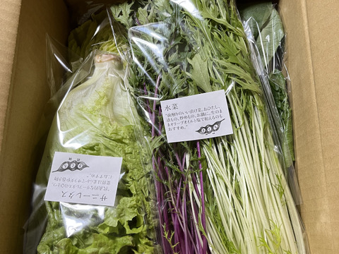 野菜セットＳサイズ（７品）【農薬・化学肥料・動物性堆肥｜不使用】