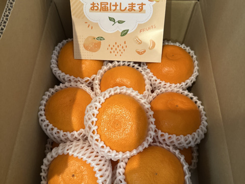 【秀品】せとか 4.5kg トロ～リ食感！柑橘の大トロ♡高級柑橘♫愛媛みかん！！