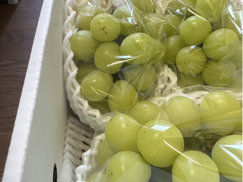 シャインマスカット 訳あり(約1kg)2~4房