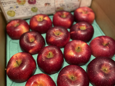 ルビー色のレア品種？！シナノホッペ【5kg家庭用🍎12個～20個入り】※化学合成農薬約40％削減