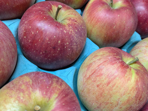 信州りんご🍎小玉４キロパック詰め