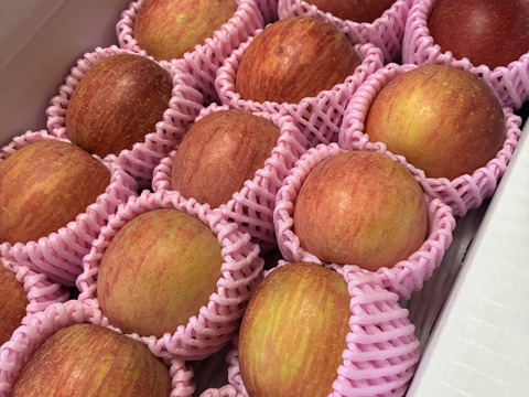 まるせい果樹園のサンふじ　贈答用　家庭用　自家用　小玉　約3キロ rfk