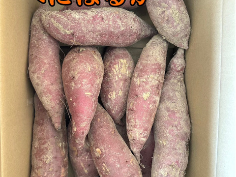 富山県南砺市立野原産赤土べにはるか5kg