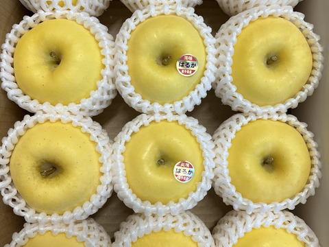 【完熟】はるか　約3kg　(7〜12個)