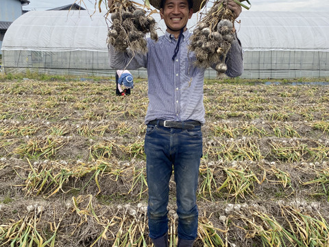 やさしい風味 自然栽培ニンニク 2kg：香川県産のその他ニンニク
